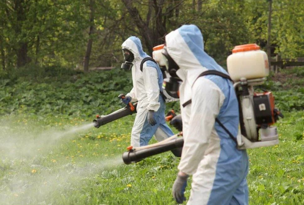 ФОТО Уничтожение клопов в Уссурийске