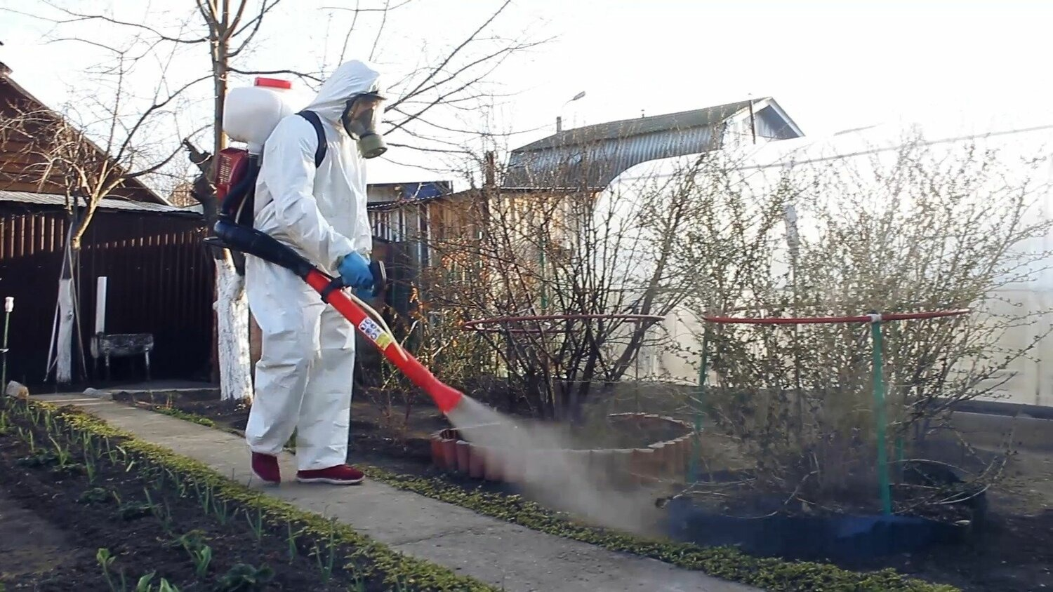 ФОТО Уничтожение муравьёв в Уссурийске