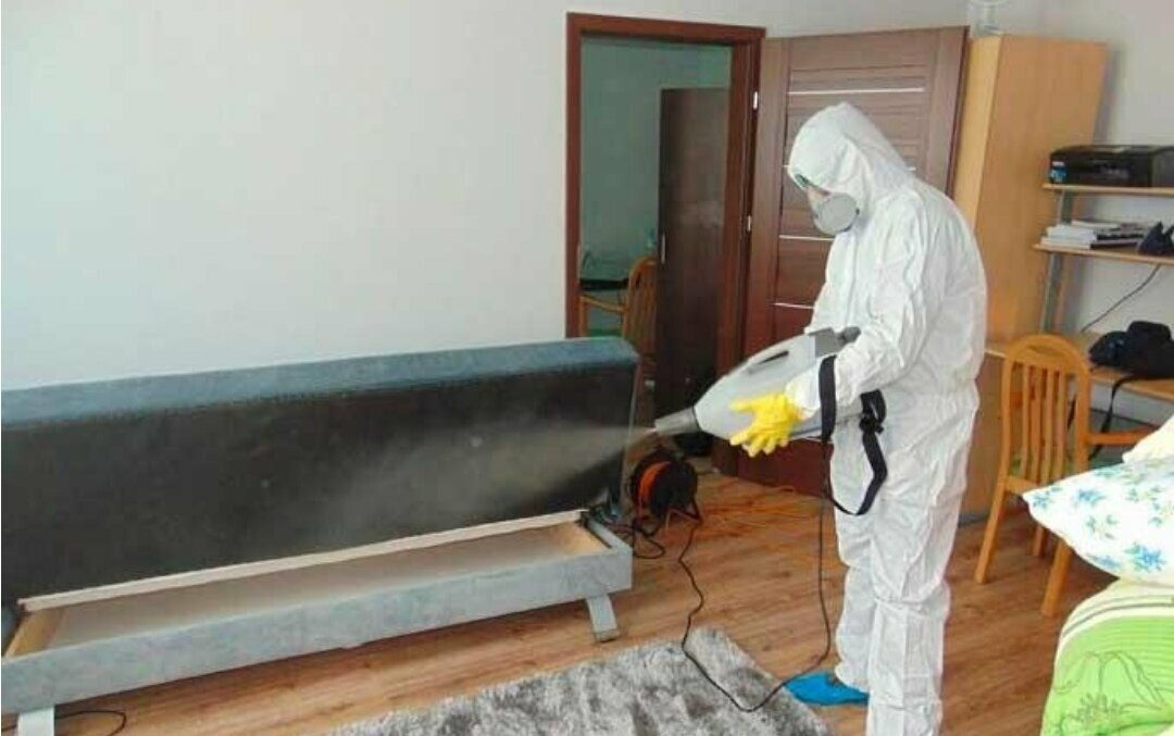 ФОТО Уничтожение блох в Уссурийске