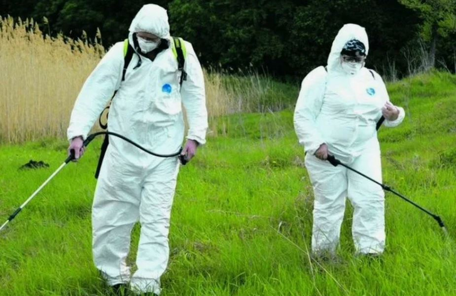 ФОТО Обработка от клещей в Уссурийске