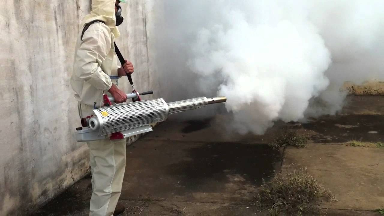 ФОТО Уничтожение мух в Уссурийске