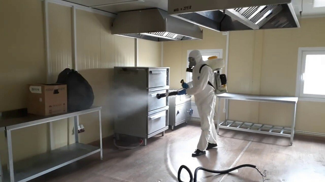 ФОТО Можно ли провести дезинсекцию самостоятельно и какие существуют риски в Уссурийске? | подробно