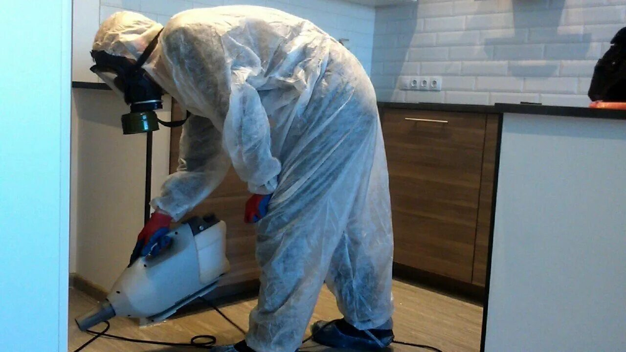 ФОТО Как подготовить домашних животных к обработке от насекомых в Уссурийске? | подробно