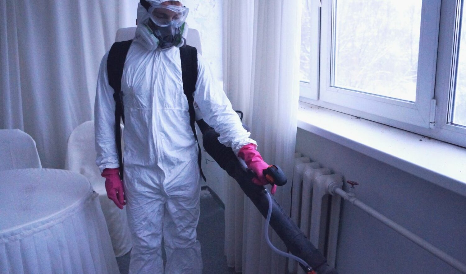 ФОТО Нужно ли выносить растения при дезинсекции в Уссурийске? | подробно