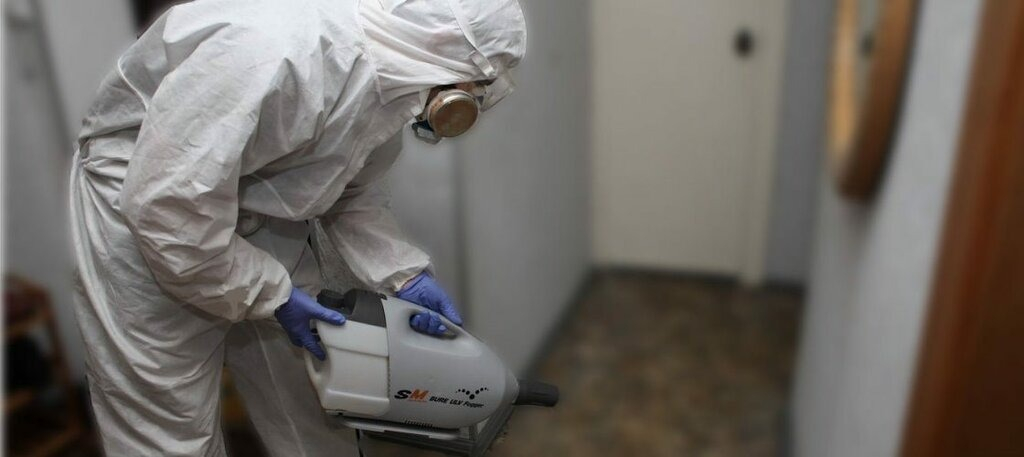 ФОТО Остаются ли следы после обработки квартиры от насекомых в Уссурийске? | подробно