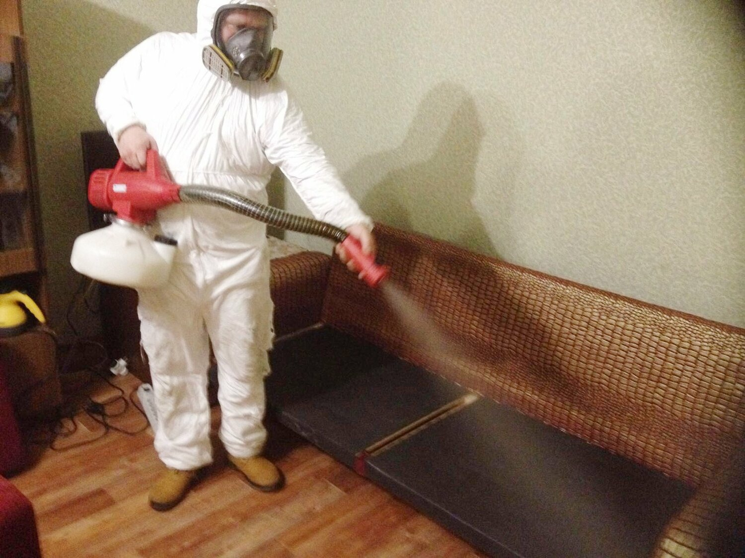 ФОТО Когда можно вернуться в помещение после дезинсекции в Уссурийске? | подробно