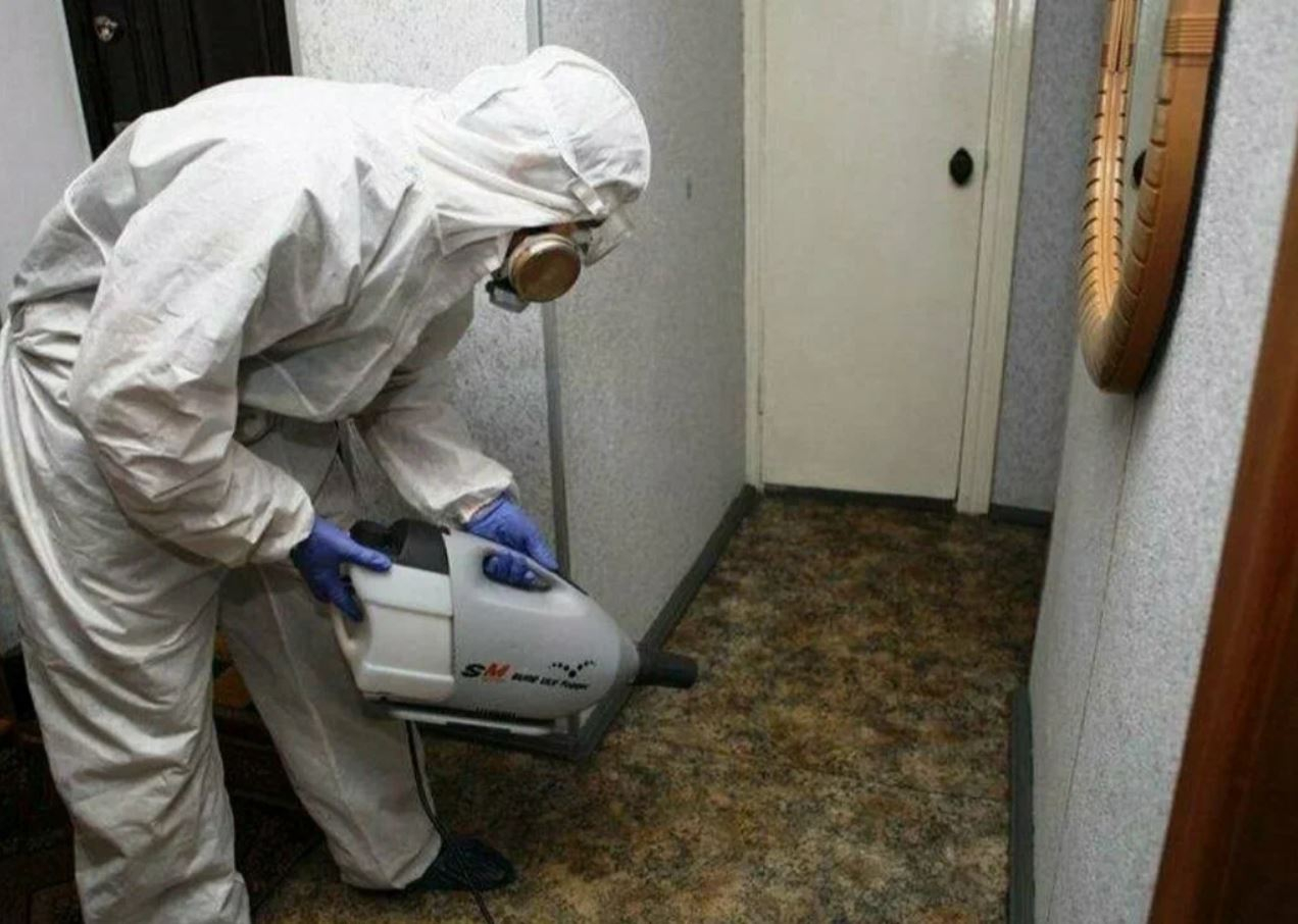 фото: Профессиональная дезинсекция в Уссурийске: <br/>+7-909-173-42-96